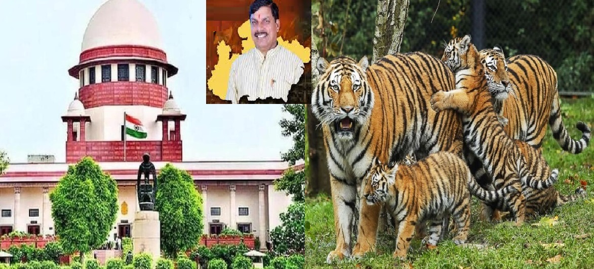 bhopal, Supreme Court , tiger conservation