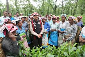bhopal, Uncle dominates, tea garden