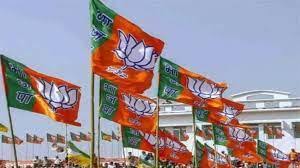 singroli, Hundreds of youths , BJP leaders  
