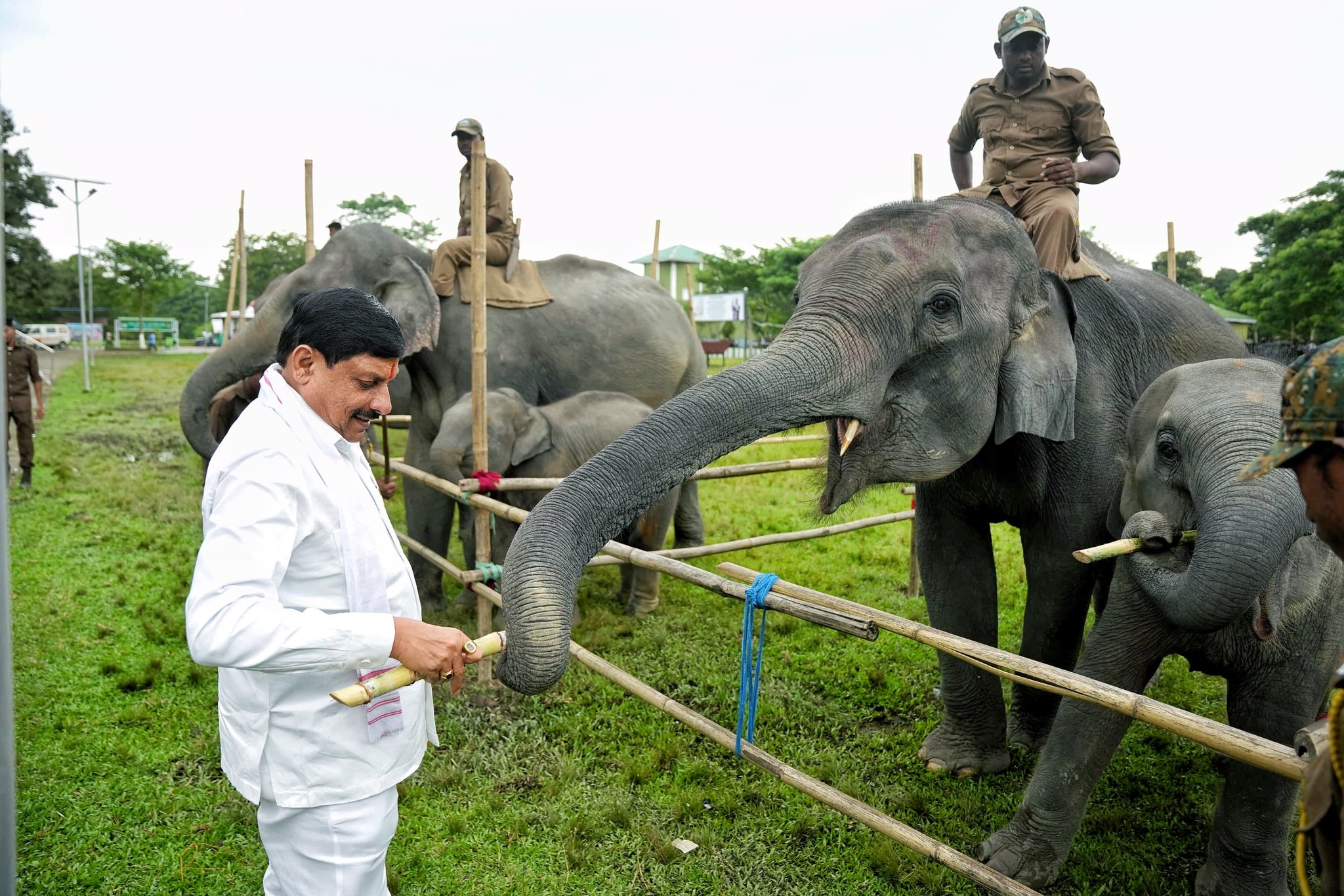 bhopal, CM enjoys ,jungle safari