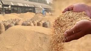 khatima, Paddy procurement center , government