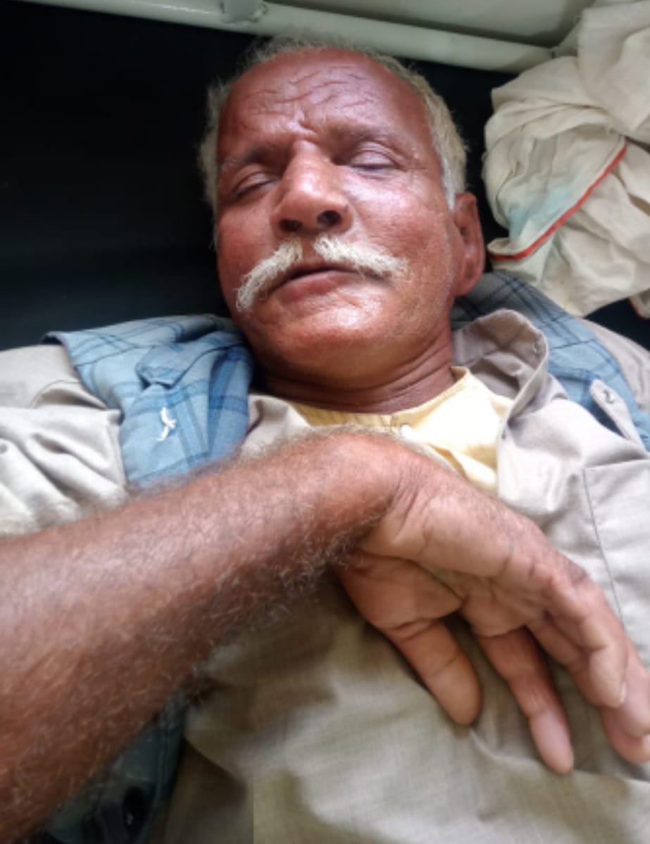 rajgarh,  swarm of bees attacked, villagers attending a funeral.