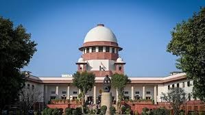 Dehli , Supreme Court,  strict ,  fake cases , created ,  AI 