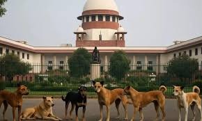 New Dehli ,Supreme Court, roads free , stray dogs