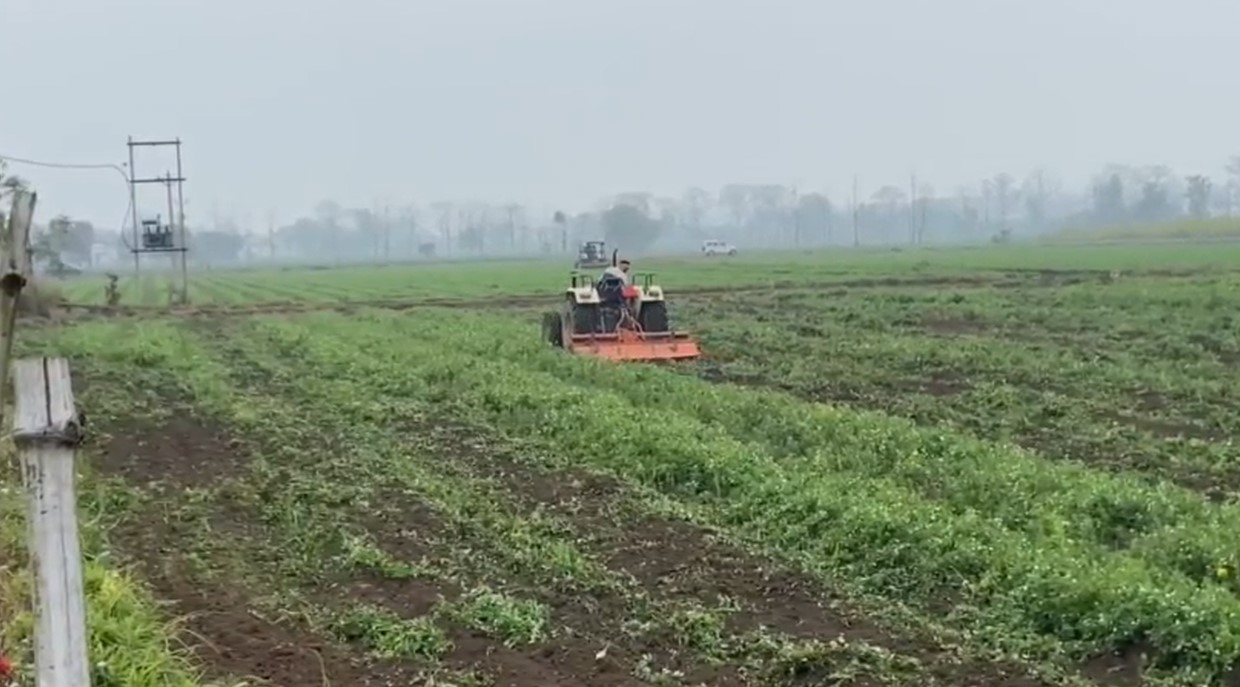  Khatima. Khatima, 120 acres crops were destroyed tractorsalleged collusion , administration.