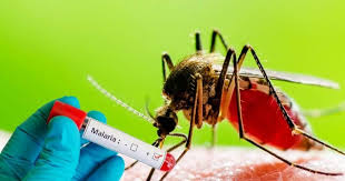 Major ,breakthrough against, malaria: India