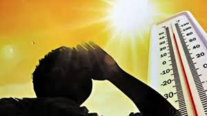 Severe heat, wave wreaks ,havoc ,Madhya Pradesh, heat wave, alert issued, 12 districts