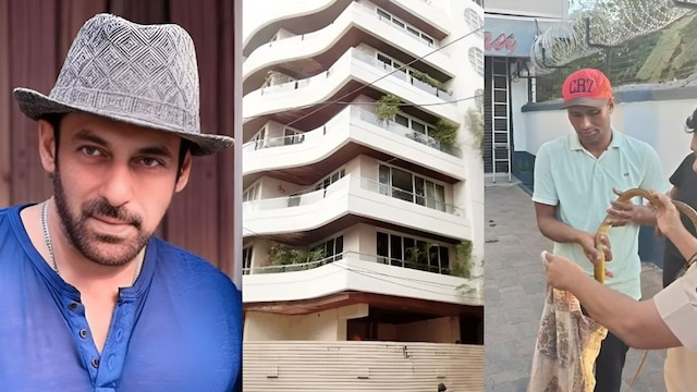 5-foot-long snake , Salman Khan