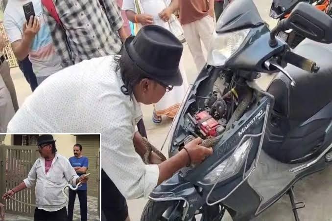 5-foot-long snake,  scooter, Sagar,  rescue operation.