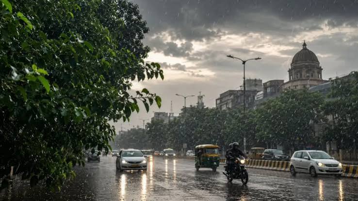 Monsoon active ,  MP; rain alert , 44 districts