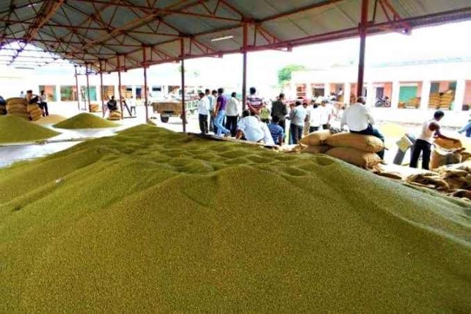 Moong , MP , farmers, financial burden , government