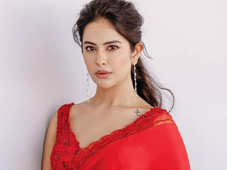 Avika Gor, substantial roles,furniture, her acting