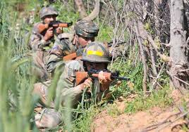 महाराष्ट्र के नितिन सुभाष शहीद